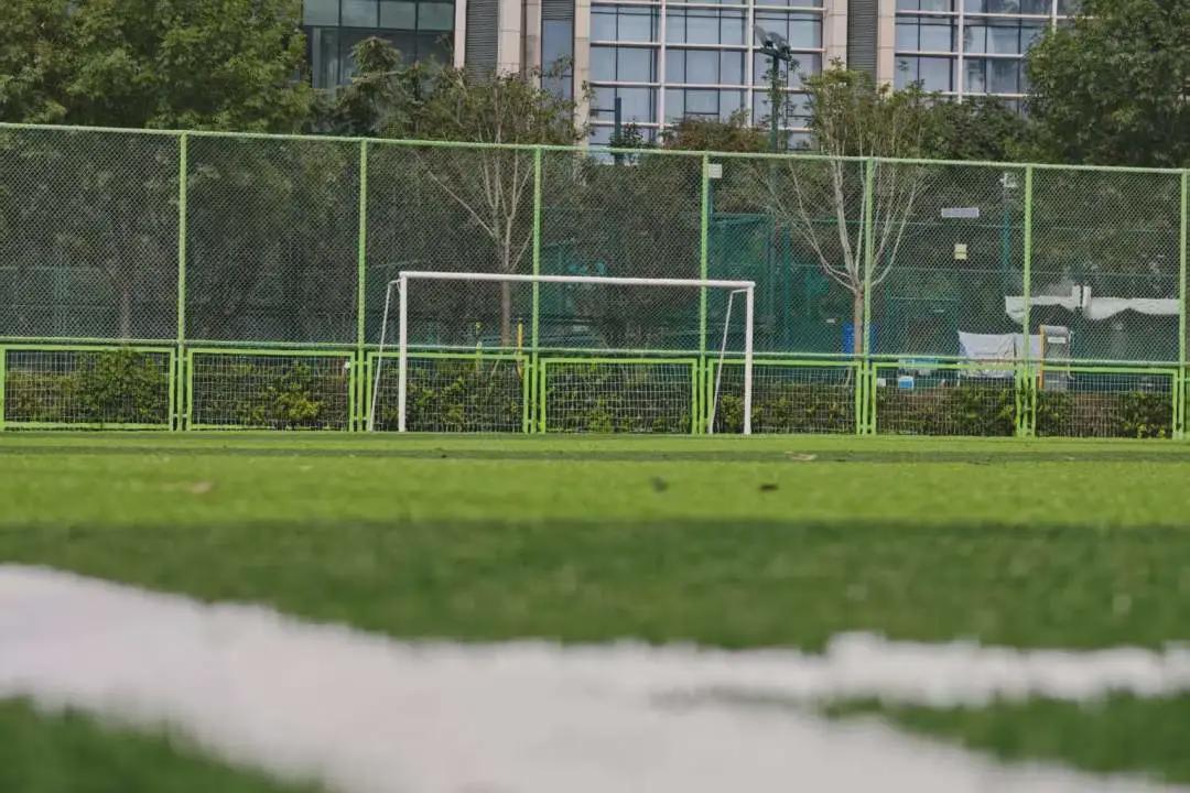 天津这个足球场升级!即将对外开放!